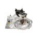 mobis transmission manual 4wd hyundai santa fe 1999-05